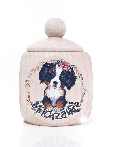 Berner Sennenhund Mädchen MZD